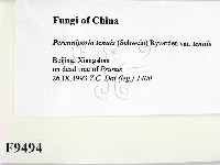 登錄號:F0009494藏品圖，第2張