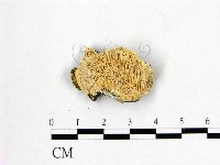 登錄號:F0009494藏品圖，第1張