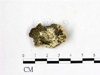 登錄號:F0009494藏品圖，第3張