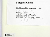 登錄號:F0009495藏品圖，第2張