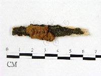 登錄號:F0009495藏品圖，第1張