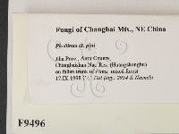 登錄號:F0009496藏品圖，第2張