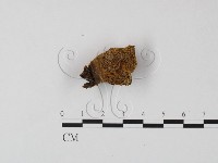 登錄號:F0009496藏品圖，第1張