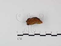 登錄號:F0009496藏品圖，第4張