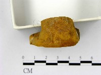 登錄號:F0009497藏品圖，第3張