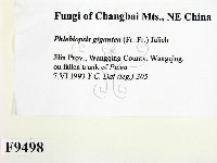 登錄號:F0009498藏品圖，第2張