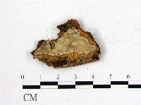 登錄號:F0009498藏品圖，第1張