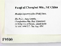 登錄號:F0009500藏品圖，第2張