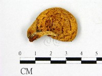 登錄號:F0009500藏品圖，第1張