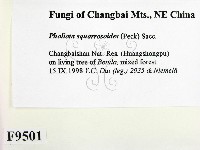 登錄號:F0009501藏品圖，第2張