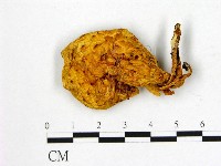 登錄號:F0009501藏品圖，第1張