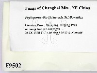 登錄號:F0009502藏品圖，第2張