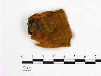 登錄號:F0009502藏品圖，第3張