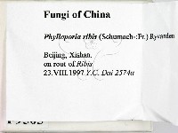 登錄號:F0009503藏品圖，第2張