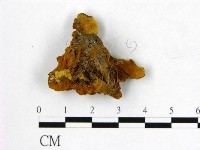 登錄號:F0009503藏品圖，第3張