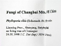 登錄號:F0009504藏品圖，第2張