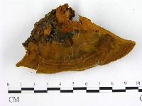 登錄號:F0009504藏品圖，第1張