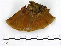 登錄號:F0009504藏品圖，第3張