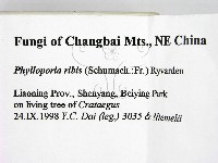 登錄號:F0009505藏品圖，第2張