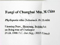 登錄號:F0009506藏品圖，第2張