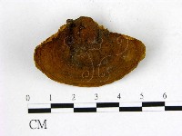 登錄號:F0009506藏品圖，第1張