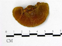 登錄號:F0009506藏品圖，第3張