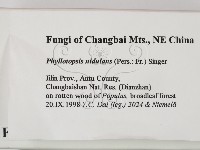 登錄號:F0009507藏品圖，第2張