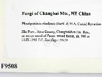 登錄號:F0009508藏品圖，第2張