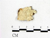 登錄號:F0009508藏品圖，第1張