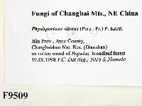 登錄號:F0009509藏品圖，第2張