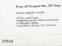 登錄號:F0009510藏品圖，第2張