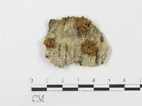 登錄號:F0009510藏品圖，第1張