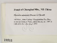 登錄號:F0009511藏品圖，第2張