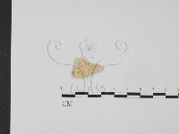 登錄號:F0009511藏品圖，第1張