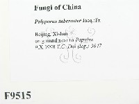 登錄號:F0009515藏品圖，第2張