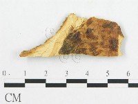 登錄號:F0009515藏品圖，第1張