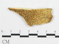 登錄號:F0009515藏品圖，第3張