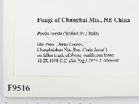 登錄號:F0009516藏品圖，第2張