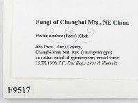 登錄號:F0009517藏品圖，第2張