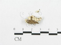 登錄號:F0009517藏品圖，第3張