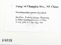 登錄號:F0009518藏品圖，第2張