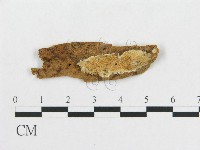 登錄號:F0009518藏品圖，第1張