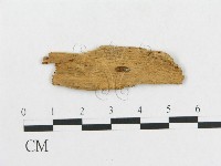 登錄號:F0009518藏品圖，第3張