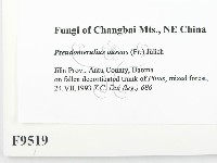 登錄號:F0009519藏品圖，第2張