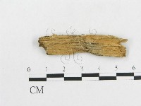 登錄號:F0009519藏品圖，第3張