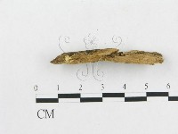 登錄號:F0009519藏品圖，第4張