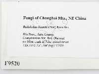 登錄號:F0009520藏品圖，第2張