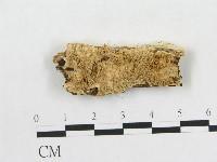 登錄號:F0009520藏品圖，第1張