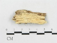 登錄號:F0009520藏品圖，第3張