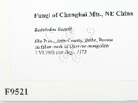 登錄號:F0009521藏品圖，第2張